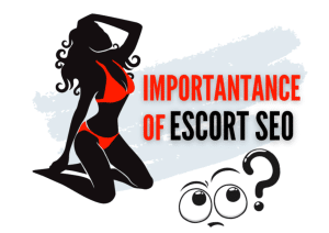 Best Guide to SEO for Independent Escorts